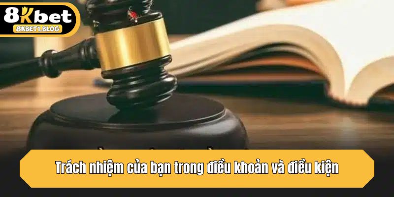 Trách nhiệm của bạn trong điều khoản và điều kiện